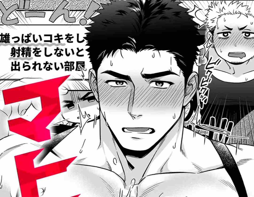 Saka太太